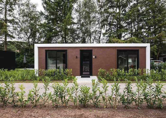 Tiny House 'de Dennenhut' *