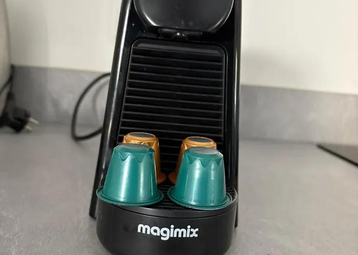 Tiny House 'de Dennenhut' Chalet *